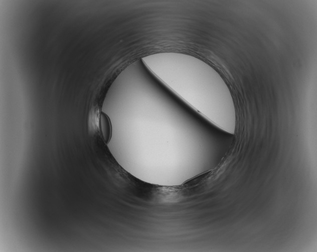 X0000099500095200805150958