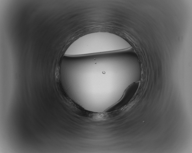 X0000099500096200805150958