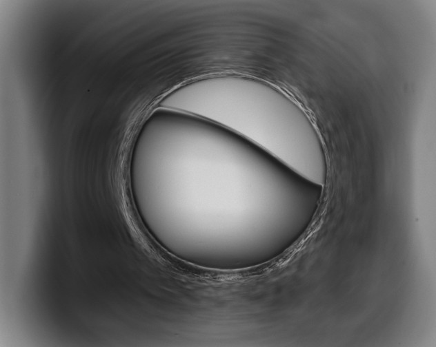 X0000099500097200805150958