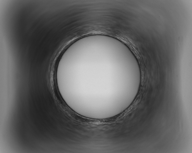 X0000099500098200805150958