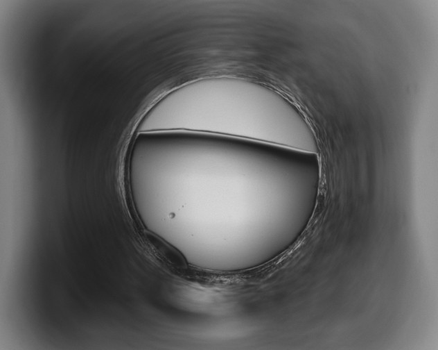 X0000099500099200805150958