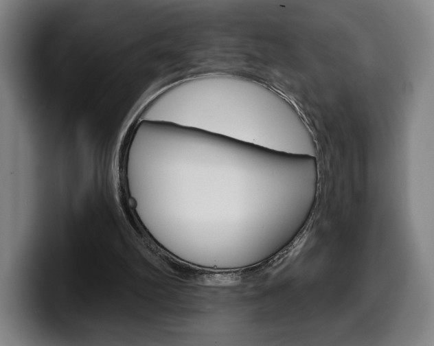 X0000099500102200805150958