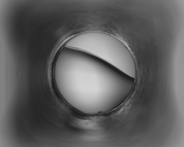 X0000099500103200805150958