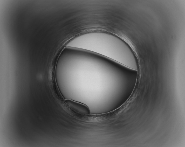 X0000099500105200805150958