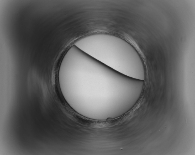 X0000099500106200805150958