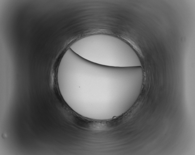 X0000099500110200805150958