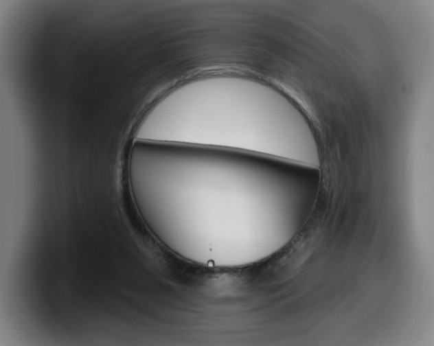 X0000099500111200805150958
