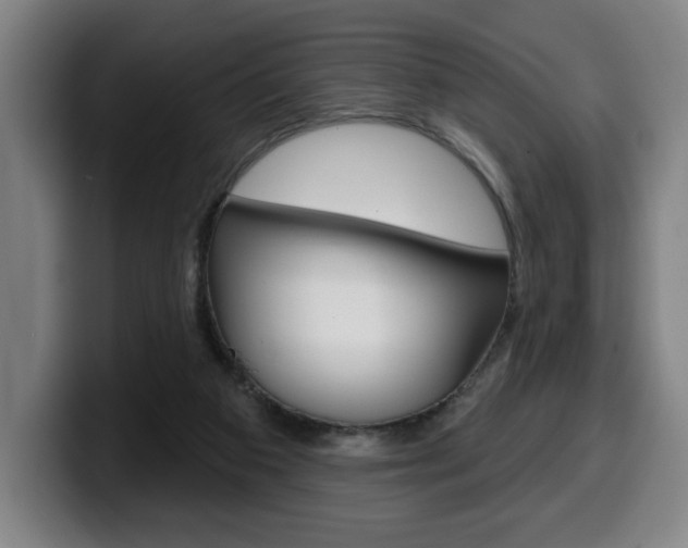 X0000099500113200805150958