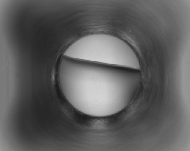 X0000099500115200805150958