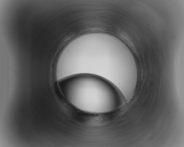 X0000099500116200805150958