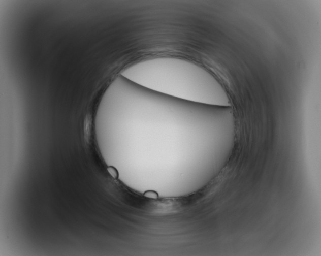 X0000099500118200805150958