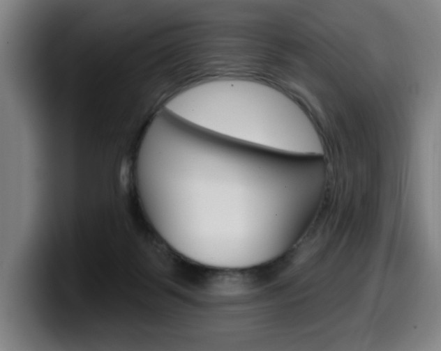 X0000099500123200805150957