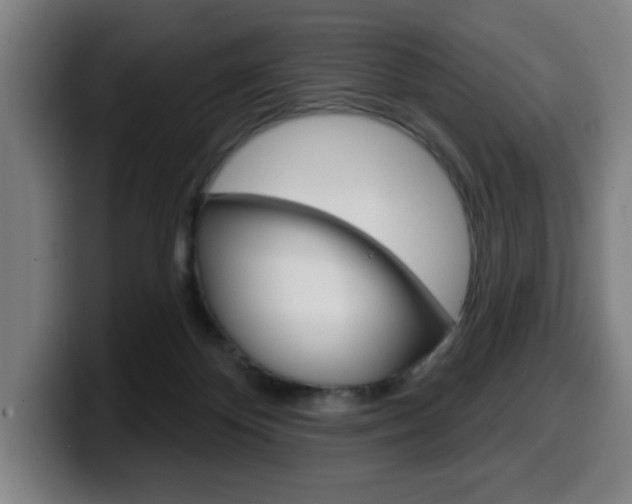 X0000099500124200805150957