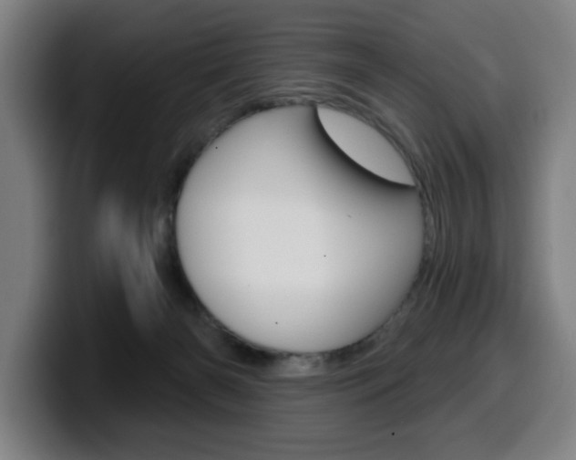 X0000099500126200805150957