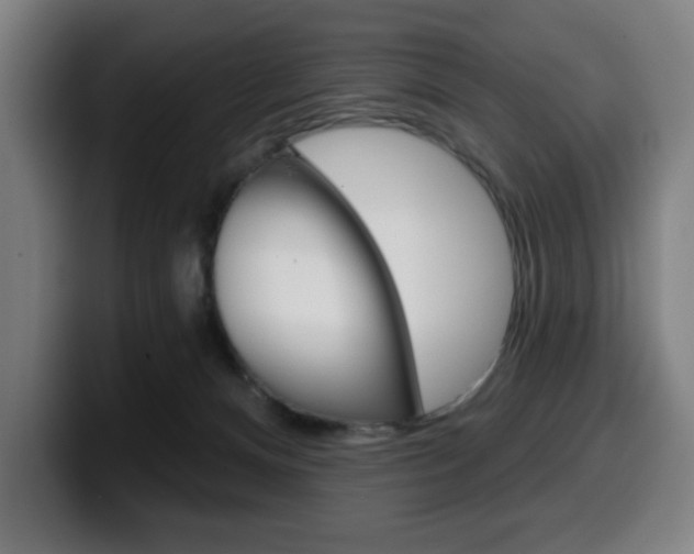 X0000099500128200805150957