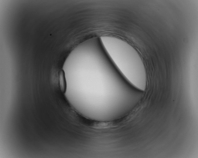 X0000099500129200805150957