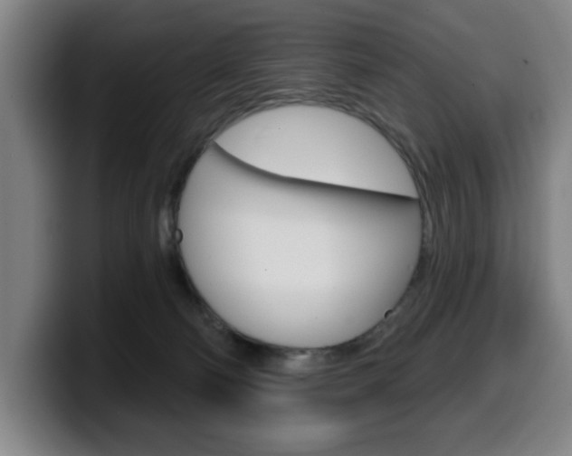 X0000099500130200805150957