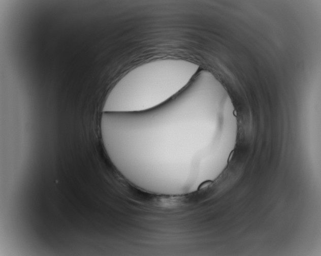 X0000099500134200805150957