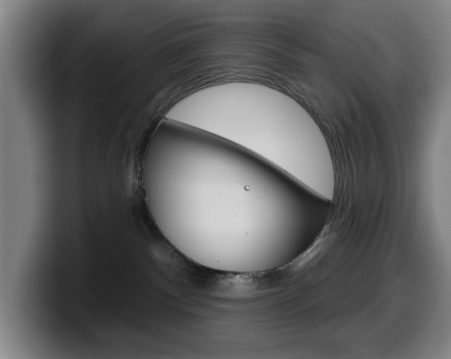 X0000099500140200805150957