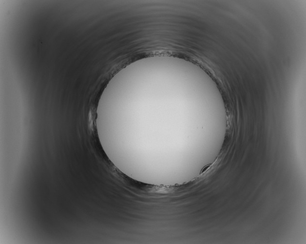 X0000099500142200805150957