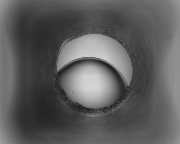 X0000099500144200805150957