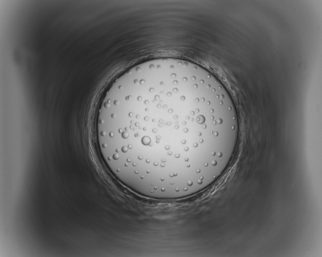X0000099500145200805150956