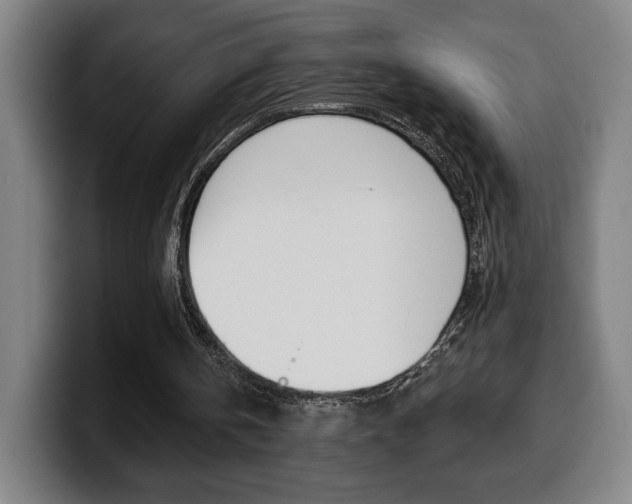 X0000099500146200805150956