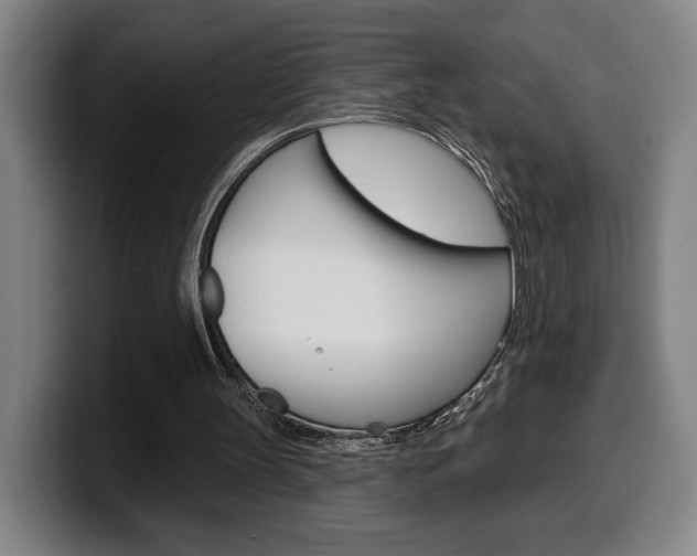 X0000099500147200805150956