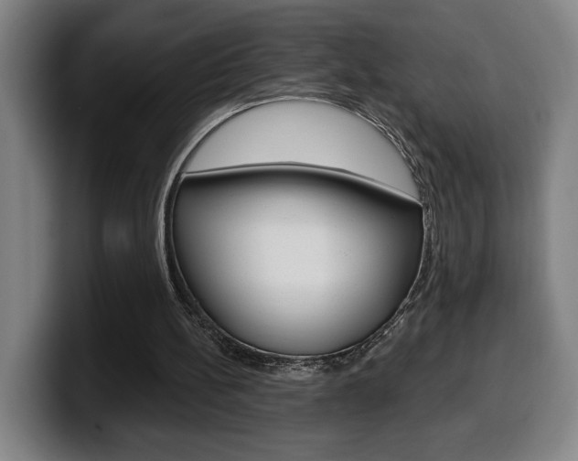 X0000099500148200805150956