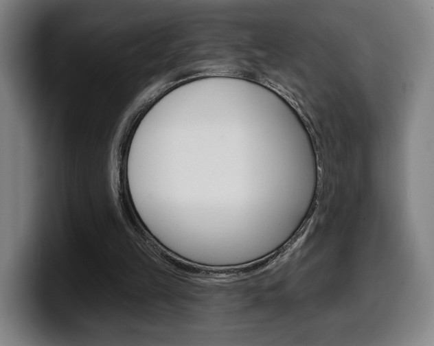 X0000099500149200805150956