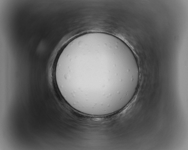 X0000099500151200805150956