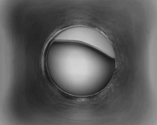 X0000099500152200805150956