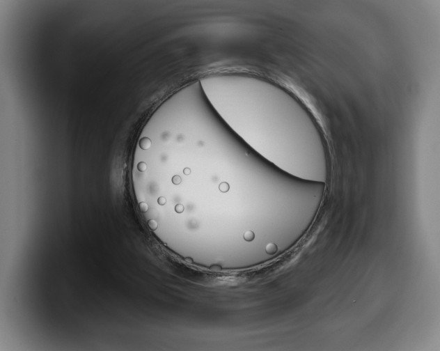X0000099500153200805150957