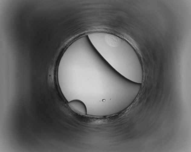 X0000099500155200805150957