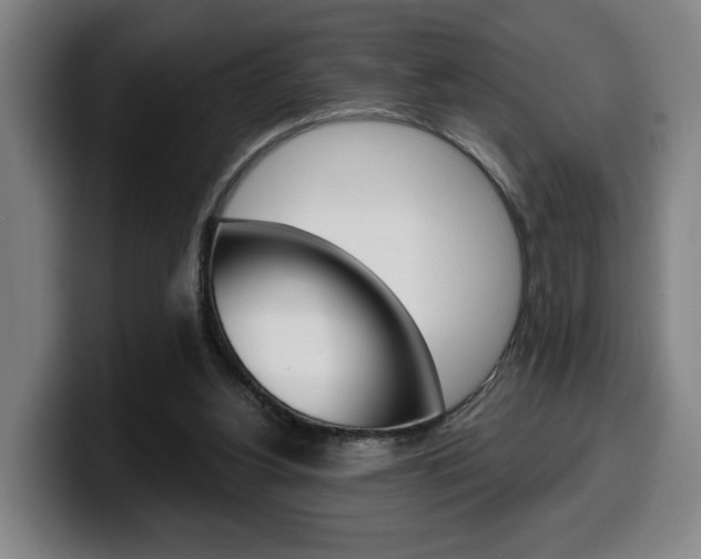 X0000099500156200805150957