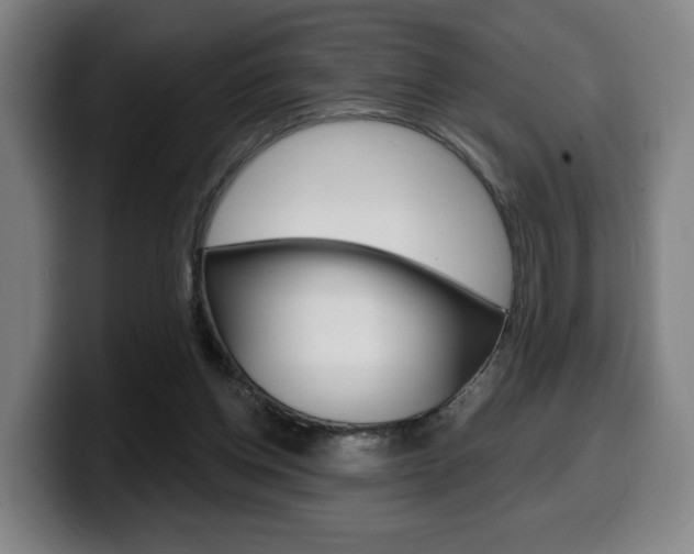 X0000099500158200805150957