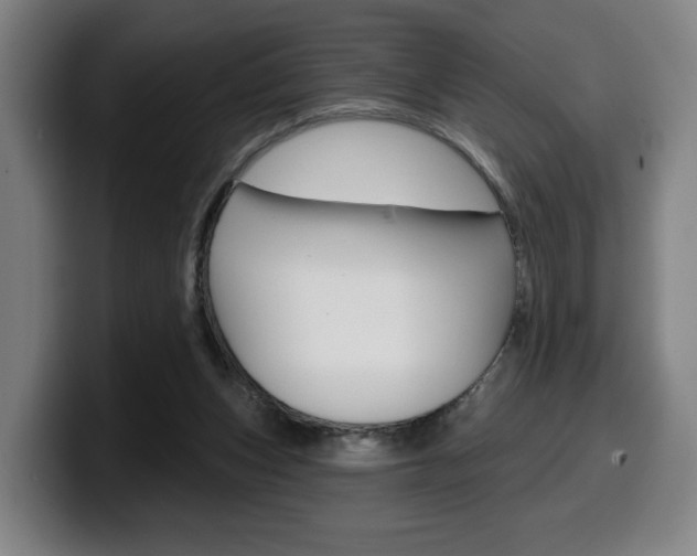 X0000099500159200805150957