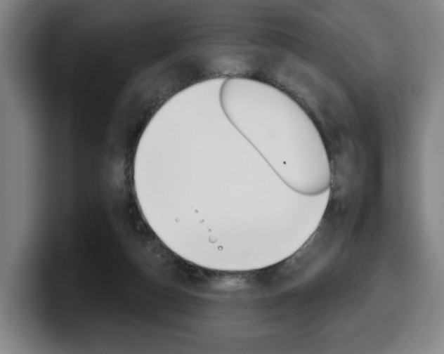 X0000099500162200805150957