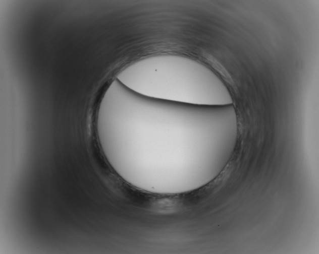 X0000099500163200805150957