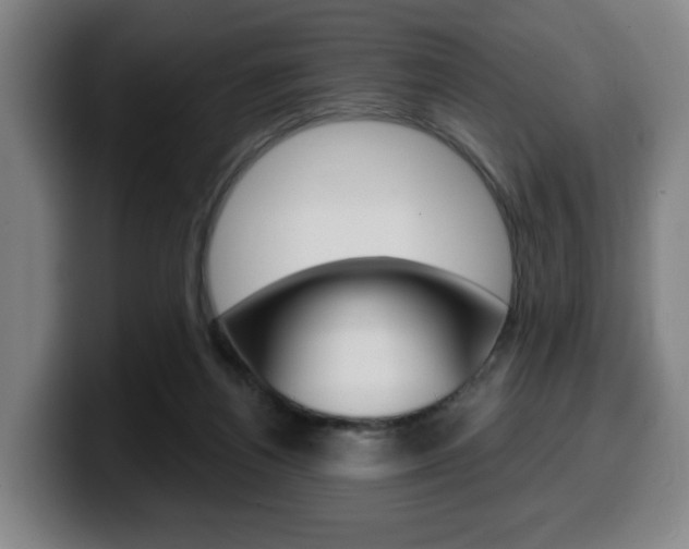 X0000099500164200805150957