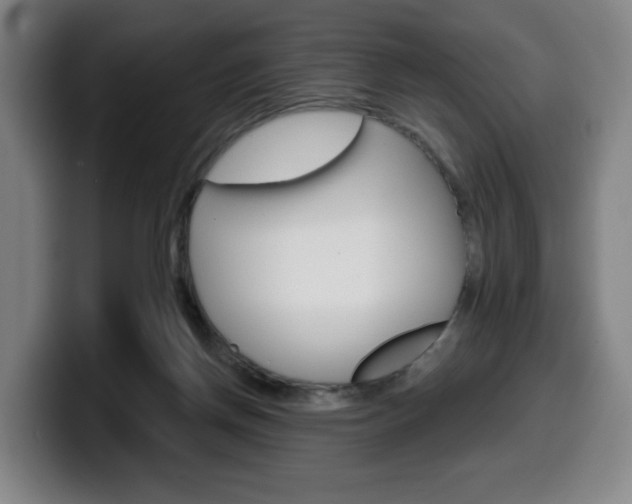 X0000099500166200805150957