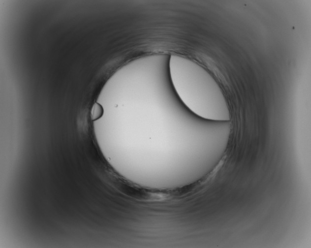 X0000099500167200805150957