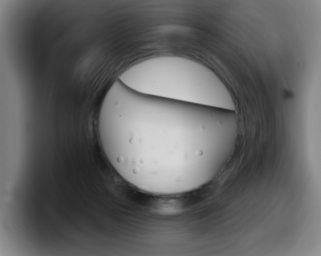 X0000099500169200805150957