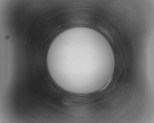 X0000099500170200805150957