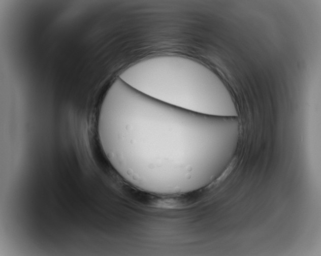X0000099500171200805150957