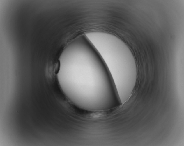 X0000099500172200805150957