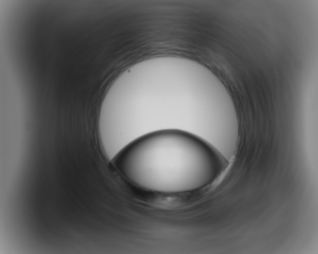 X0000099500174200805150957