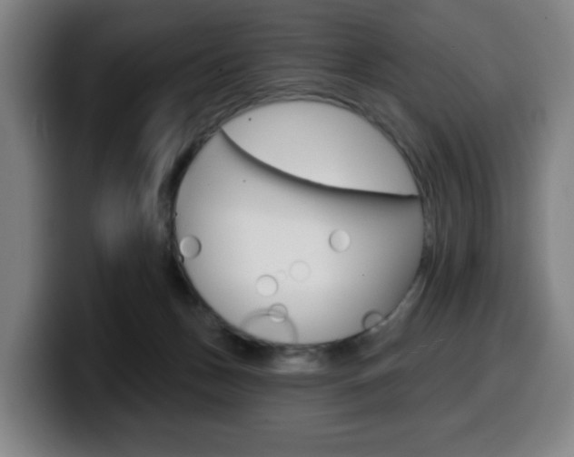 X0000099500175200805150957
