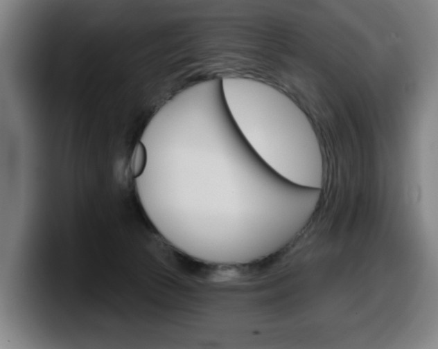 X0000099500177200805150957