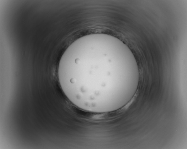 X0000099500178200805150957